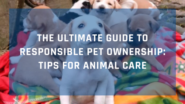 The Ultimate Guide to Responsible Pet Ownership Tips for Animal Care