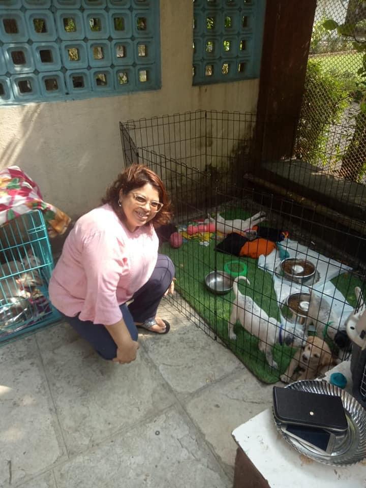Miam Organizes Dog Adoption Camp