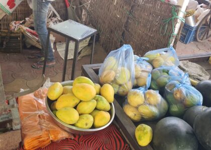 Fruits Didtribution in Khal Bujurg village